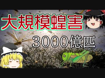 ゆっくり解説 中国に新たな危機 アフリカで大量発生したバッタについて解説します ニコニコ動画