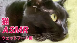 【ASMR】黒猫の咀嚼音【猫缶とパウチレビュー】