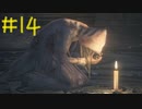【Bloodborne】フロムゲー初心者のブラッドボーンpart14【実況プレイ】