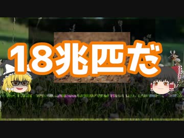 【閲覧注意！】蝗害、すべてを食い尽くすバッタ【ゆっくり解説】