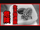 【危険な取引！】通販で生き物を購入するリスクと危険な取引方法