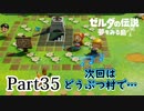 求むー「ゼル伝」のプロー【ゼルダの伝説　夢をみる島】 part35