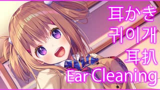 桜木学園癒やし部～2年B組・桐岡美雨編。耳かき【CV.千代絢子】 Japanese Mimikaki, Ear Cleaning