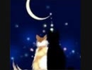 2周年とお知らせ