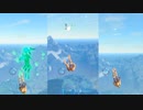 依頼を受けて、試しの岬から爆弾で吹き飛んでミファってみた