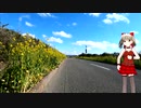 ゆるポタ５「館山輪行」房総フラワーラインを走ろう！