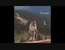 絶叫する明那