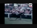 1974年 第195回ダービーステークス(Derby Stakes) スノーナイト(Snow Knight)