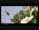 【気まぐれ猫】春に一番近い街【歌ってみた】