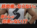 【Q&A】筋肉痛にならないと筋肉は大きくならない！？【ビーレジェンド チャンネル】