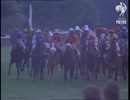 1969年 第190回ダービーステークス(Derby Stakes) ブレイクニー(Blakeney)