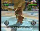 ポケモン　バトレボ　DSバトル