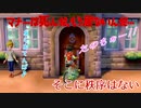 【実況】ポケモン剣盾～そこに秩序はない～Part26