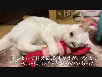 超甘えたなウチューネコチャン、めちゃくちゃスネる