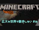 【実況プレイ】広大な世界で散歩しない【Minecraft】【第六回】#3