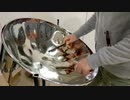 3月9日【演奏してみた：スティールパン】レミオロメン_フジテレビ系ドラマ「１リットルの涙」挿入歌