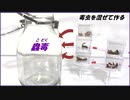 中国の秘術「蟲毒」を再現してみたら、まがまがしい結果になった。