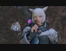 【新生FF14】ララフェルの冒険日記649ページ