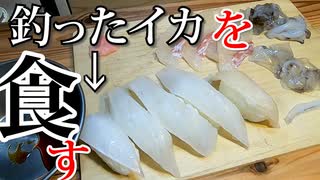 【ぼっちご飯】釣ったアオリイカを寿司にして車内で食す