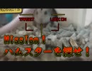『ハムスターを探せ！』の巻 Where's Hamster！ #12【ハムスター物語】