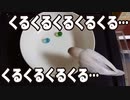 ビー玉に夢中！