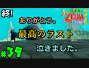 【小さな勇者の飲み実況】ゼルダの伝説 風のタクト HD part39【24歳フリーター】