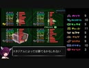 [カービィのエアライド]　赤色のカービィは絶対に許さない