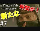 【ホラー】新しいイケメンとお姉さんがきた！【A Plague Tale Innocence】#7