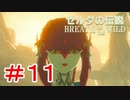 ゼルダ初心者とガチ勢のほのぼの伝説【ゼルダの伝説ブレスオブザワイルド実況：part11】