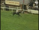 1963年 第184回ダービーステークス(Derby Stakes) レルコ(Relko)