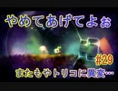 【 初めてのテラリウム】void tRrLM(); //ボイド・テラリウム　part29