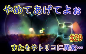 【 初めてのテラリウム】void tRrLM(); //ボイド・テラリウム　part29