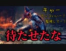 【ダークソウル3】薪の王の登場！深淵の監視者が強いしカッコイイ【初見実況プレイ# 15】