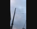 曇天の道を