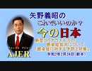 『新型コロナウイルスの感染症拡大について「感染症に対する予防と対策」』矢野義昭 AJER2020.2.28(3)
