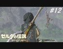 【実況】マスターモード縛りプレイやる part12【ゼルダの伝説 ブレスオフザワイルド】