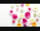 世界に一つだけの花（SMAPものまね）