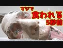 うんこにタコ殴りにされるアーティストの胃カメラ体験ツアー【Self Portrait】