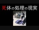 【閲覧注意】子供3人の遺体が一つにまとめられる【原因┃生物兵器┃隠ぺい】