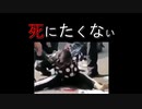 video (34)
