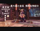 【MHWI】環境生物最大最小金冠紹介23エメラルドカブトガニ