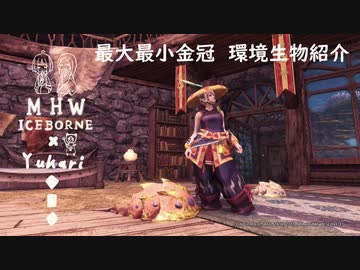 【MHWI】環境生物最大最小金冠紹介24キンパクカブトガニ