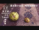【MHWI】環境生物最大最小金冠紹介26カッパーカラッパ