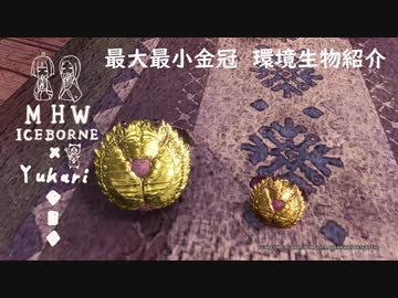 【MHWI】環境生物最大最小金冠紹介26カッパーカラッパ
