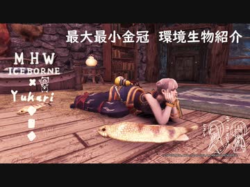 【MHWI】環境生物最大最小金冠紹介28ツチノコ