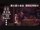 【MHWI】環境生物最大最小金冠紹介29ケイコクチョウ