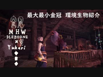 【MHWI】環境生物最大最小金冠紹介29ケイコクチョウ