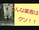 SEO業者に騙された話