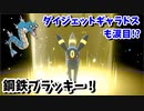 [ポケモン剣盾]カチカチブラッキーが受けとして優秀すぎた！！！