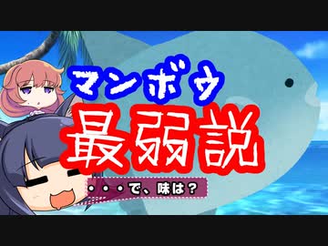 【ぽんこついきもの】マンボウはなんですぐ死ぬって思われてるの？【オリキャラでVOICEROID解説】